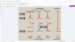 1 Autonomics nervous system MCQ questions مراجعة اسئلة [upl. by Amalburga]