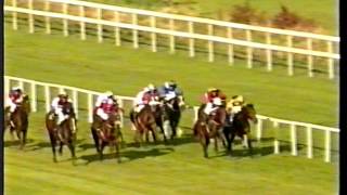 2000  Leopardstown  Killavullan Stakes G3  Perigee Moon [upl. by Shushan239]