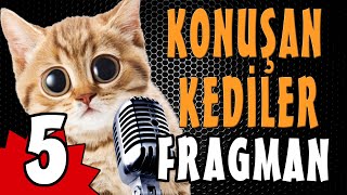 Konuşan Kediler 5 Fragman [upl. by Kciredes]