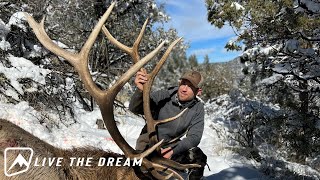 Elk Hunting Arizona Late Season [upl. by Phare]