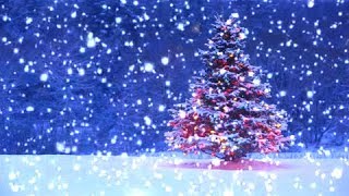 10 Hours Snowfall on Brightly Lit Christmas Tree  Video amp Audio 1080HD SlowTV [upl. by Ha919]