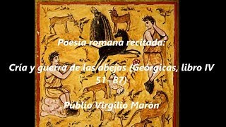 Poesía romana recitada Geórgicas de Virgilio libro IV 5187 cría y guerra de las abejas [upl. by Eibbob]