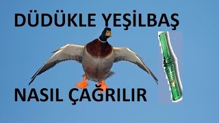 Ördek düdüğü nasıl çalınır Sade anlatım duck call haydels rl 99 [upl. by Wilonah]