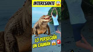 Combatía con un caimán 🐊😰 Interesante Asombróso 😰😱 [upl. by Ros]