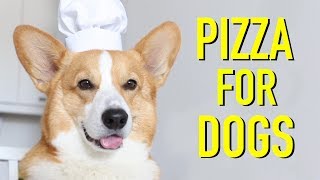 PIZZA FOR DOGS  Topi the Corgi [upl. by Qooraf]