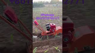 Ditcher  ploughing microtiller  microtiller source manufacturer [upl. by Assenal]