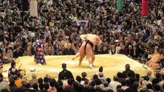 平成27年春場所8日目。稀勢の里対照ノ富士 [upl. by Saied]