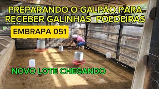 INICIANDO A CRIAÇÃO DE GALINHAS POEDEIRAS EMBRAPA 051 [upl. by Gunzburg]