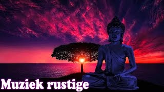 Rustige Ontspannende Muziek ♫ Positieve Muziek te inspireren positief denken Muziek [upl. by Aili386]