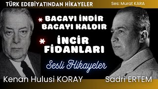 İki Ustadan İki hikaye  Türk Edebiyatından Sesli Kitaplar [upl. by Neelyar]