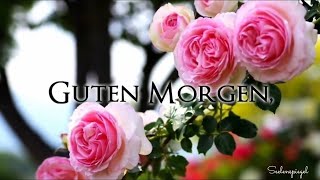 Guten Morgen 🌞 ich wünsche dir einen schönen Tag 🌷 liebe Morgengrüße [upl. by Lahcsap181]