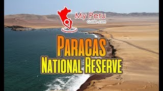 Paracas National Reserve Ica  My Peru Guide [upl. by Enella]