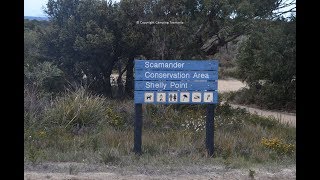 Camping Shelly Point Scamander Free Camping East Coast Tasmania [upl. by Cate]