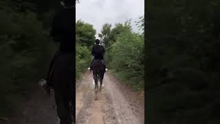 Ashv ki savarii horse horselover horseriding automobile love funny animals song rider vlog [upl. by Hanae]