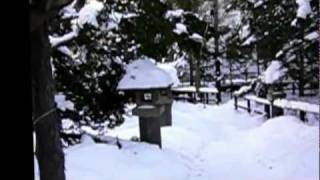 白石神社（北海道札幌市）2012114 [upl. by Aiuqes866]