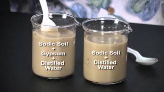 Visualizing Soil Properties Dispersion and Flocculation [upl. by Louisa642]