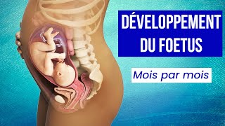 LA GROSSESSE  Le Développement du Foetus Mois par Mois [upl. by Weiner801]