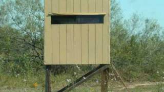 Grande Hunts 8 South Texas Deer Lease Work Feeding amp Scouting October 2010 [upl. by Kokaras447]