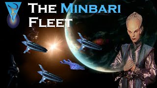 The Minbari Fleet Analysis  Babylon 5 Ships [upl. by Feledy]