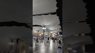 Qabar ka khof nah rakhna a dil madina ytshort masjidenabvi short [upl. by Cointon]