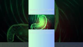 Stomach Pain Relief with Binaural Beats  Rife Frequency Healing Sound Stomach Cramps Treatment [upl. by Nosimaj]