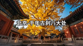 北京赏秋之旅～重游千年古刹八大处，在800年古树下静思【行走世界的北京老刘】 [upl. by Atsirt]