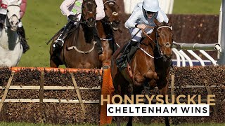 HONEYSUCKLES 3 CHELTENHAM FESTIVAL WINS [upl. by Naliorf]