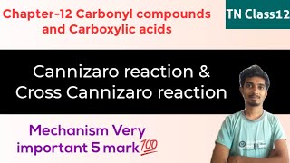 Cannizaro reaction with MechanismCross Cannizaro reactionChapter12TN Class12 [upl. by Doolittle]