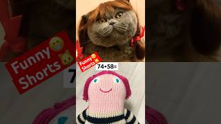 Funny shorts a cute cat in a wig [upl. by Illa]