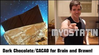 Raw Cacao and Dark Chocolate for Brain Function and Muscle Building [upl. by Anividul]