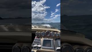 cigarette top gun 39 boat test run cigaretteboat boats [upl. by Harras424]