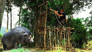 FULL 300 days of wild boars attacking people in the dangerous forest Wild boar trapping skills [upl. by Liatrice]