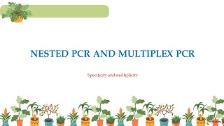 Nested Polymerase Chain Reaction  Diagnosis  Validation  Specificity  Multiplex PCR [upl. by Bruis]