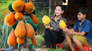 Pick Juicy Ripe Papaya for Eating Do you have Sweet Papaya in your house  Yummy water spinach soup [upl. by Aihsekan117]