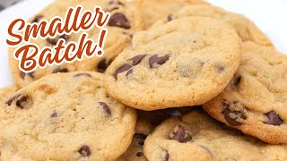 Easy SMALL BATCH Chocolate Chip Cookies [upl. by Haugen374]