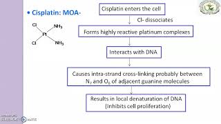 Antineoplastic agents Cisplatin [upl. by Nagaem]