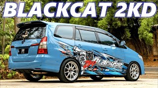 REVIEW BLACK CAT 2KD SANG TIM PETIR DARI SURABAYA [upl. by Cirri115]