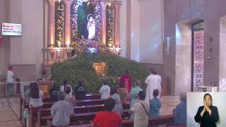 Mt Carmel Shrine Live Stream  Liturgical Services [upl. by Tneciv146]