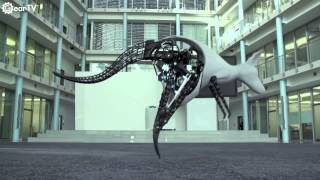 Awesome Robots Inspired By Animals [upl. by Imeaj]