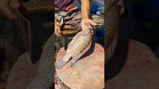 Unique Aesthetic Popular Big Tilapia Fish Cutting Skills In Expert Cutter 😱😱 shorts [upl. by Frick491]