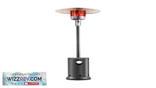 VEVOR Propane Patio Heater 50000BTU Tall Hammered wWheels Outdoor Silver Gray Review [upl. by Amisoc]