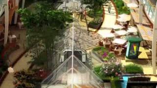 Royal Caribbean  Oasis of the Seas Ship Tour  Iglu Cruise [upl. by Renny]