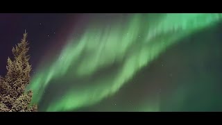 Amazing Northen Lights in Iceland [upl. by Ennayram426]