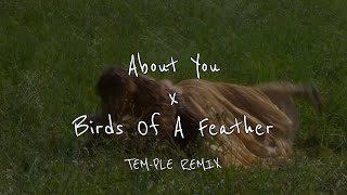 About You x Birds Of A Feather TEMPLE REMIX [upl. by Ecinehs191]