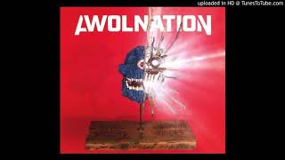 The Best  Awolnation [upl. by Haldan]