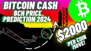 Bitcoin Cash BCH Crypto Coin Update [upl. by Hastie708]