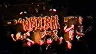 Cannibal Corpse  Return To Flesh En VivoLive1994 [upl. by Naired632]