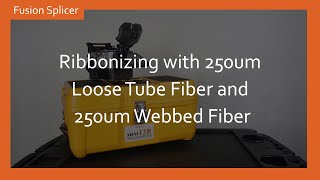 Ribbonizing with 250um Loose Tube Fiber and 250um Webbed Fiber 1 2 [upl. by Malik799]