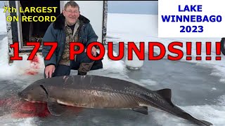 STURGEON SPEARING 2023 HUGE STURGEON HANGING AT WENDTS [upl. by Mussman765]