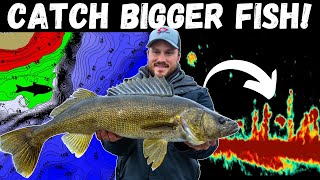 Top Techniques for Catching BIG Walleyes Pro Tips and Tricks [upl. by Alitha806]